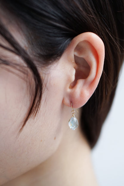 Morning Dew Earrings - Plum Blossom (Light Blue)